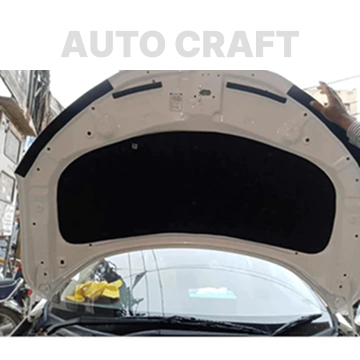 MG ZS Bonet Protector/Namda